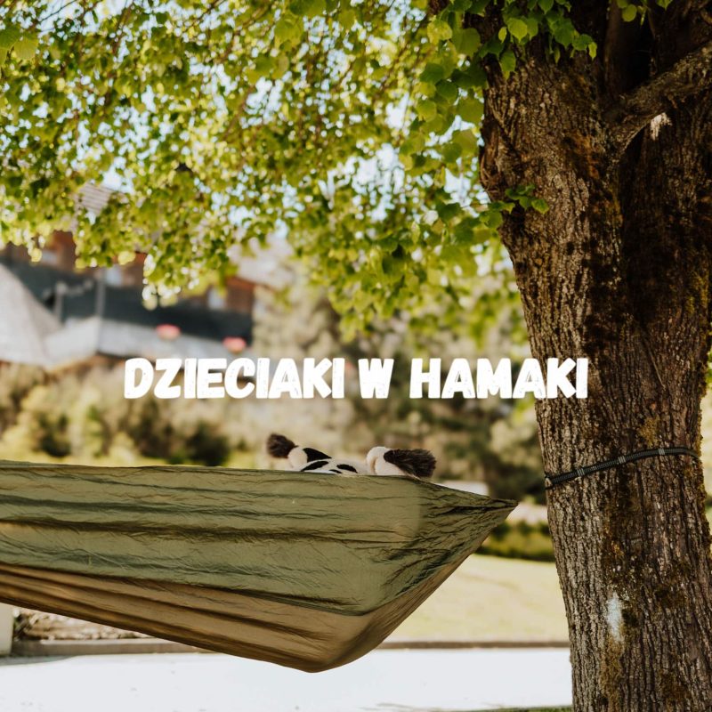 Two small black-and-white animals lounging in a beige hammock tied to a tree in a sunny yard.